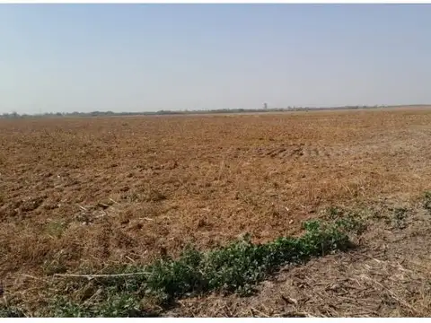 Venta Campo agricola 495has, Sgo del Estero, Clodomira