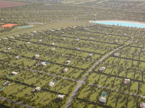 Vida Lagoon