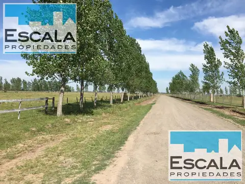 Terreno en Venta 50  mts Frente