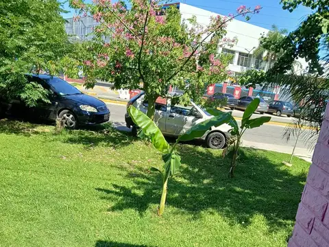 Local  en Alquiler en Tigre, G.B.A. Zona Norte, Argentina