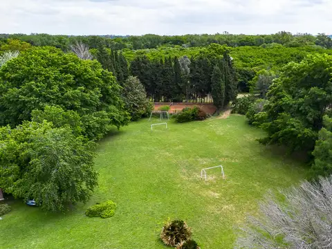 Avenida San Fernando al 800