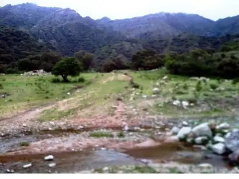 Dique Piscu Yaco 100