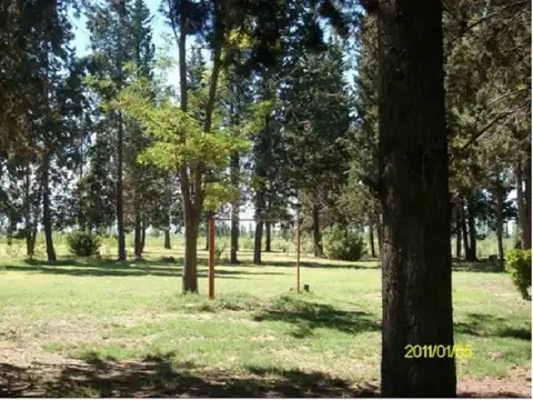 Los Álamos (o Ruta Prov. 31) 1800