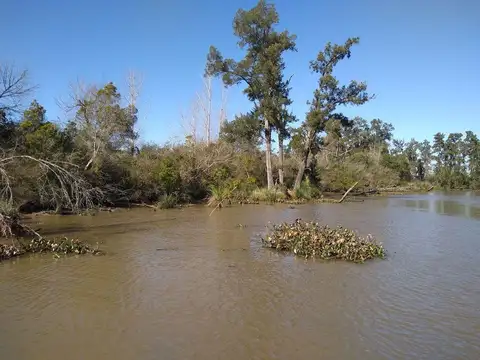 Rio / Arroyo Caraguatá 600