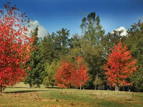Terreno en Venta en Abril Club De Campo, USD 530.000