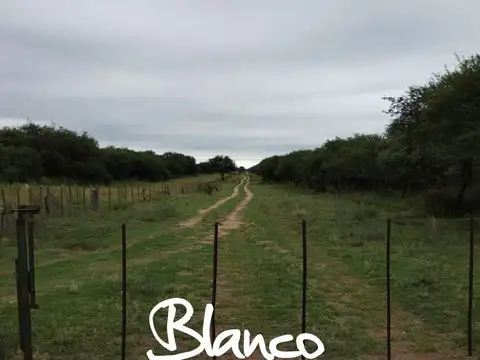 Terreno Campo  en Venta en San Luis Capital, San Luis, Argentina