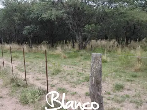 Terreno Campo  en Venta en San Luis Capital, San Luis, Argentina