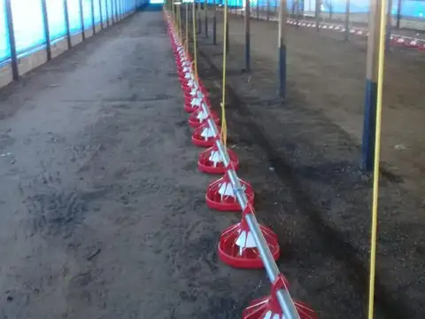 Acceso Ruta 30 - Granja La Carmencita