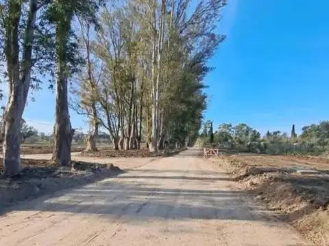 Terreno en Venta de 520,0 m2