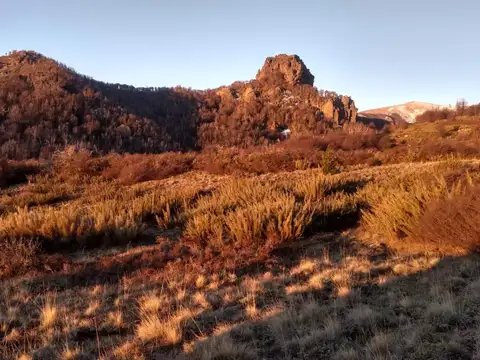 Terreno en Venta de 11000,0 m2