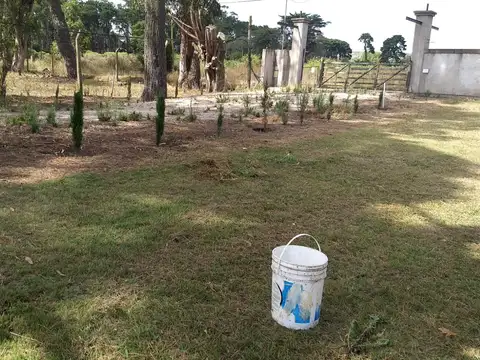 fracción de 6 hectareas Ciudad y Partido de General Pueyrredon, Provincia de Buenos Aires.-