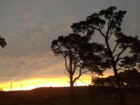 fracción de 6 hectareas Ciudad y Partido de General Pueyrredon, Provincia de Buenos Aires.-