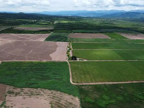 Finca en venta de 1500 hectareas Coronel Moldes, La Viña, Salta