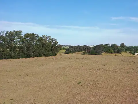 Campo en Venta de 14  ha