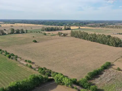 Campo en Venta Agrícola