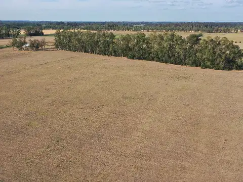 14 Has. Chacra en Los Cardales