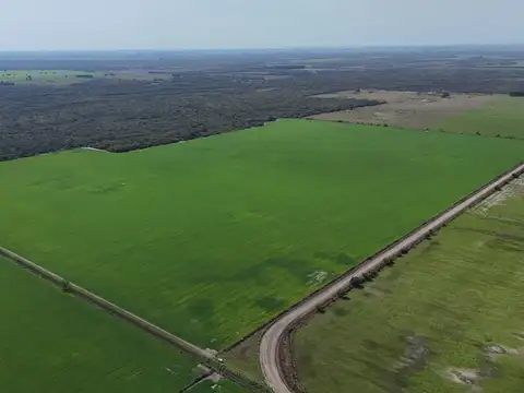 Se vende CAMPO en Malabrigo