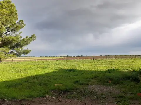 Lote  Saldungaray 14 Mts  De Frente  Calle Belgrano