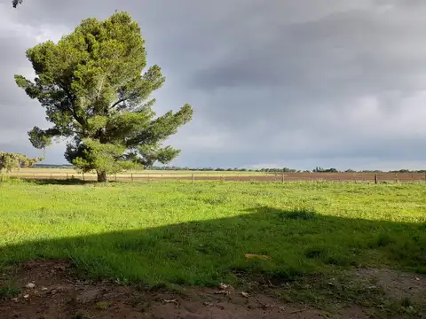 Belgrano 575, B8166ABK Saldungaray, Provincia de Buenos Aires,