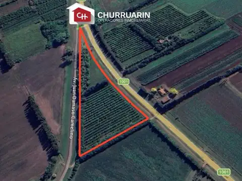2 has en venta en San Pedro
