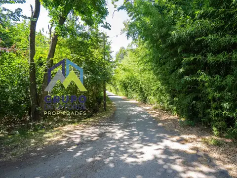 Santa Teresita de Lesieux