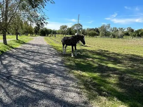 Terreno en Venta en Countries y Barrios Cerrados en Manzanares, USD 20.000