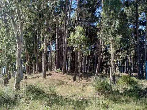 Terreno en Venta en Barrio Cerrado Costa Esmeralda, USD 60.000