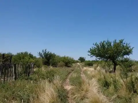 Ruta 206