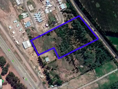 ALQUILER  1.3 HAS EN CENTENARIO