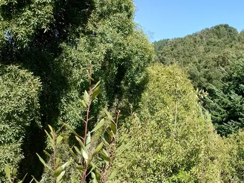 Terreno en Venta de 298,0 m2