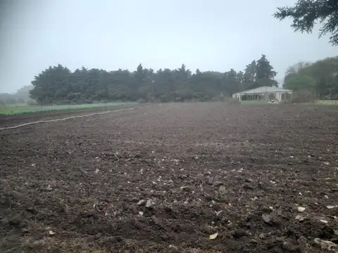 Venta Campo 6 Hectareas COLONIA CAROYA