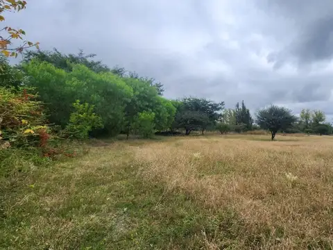 RUTA 26 LA ISLA 1000