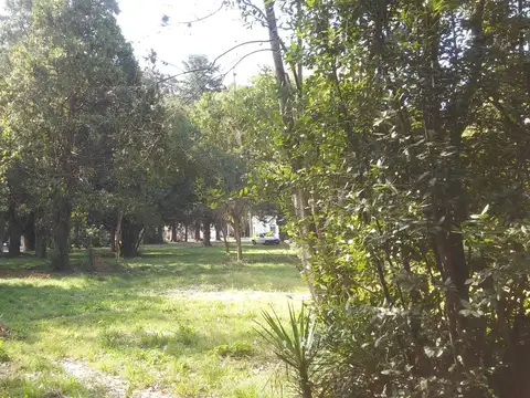 José María Ezeiza 800