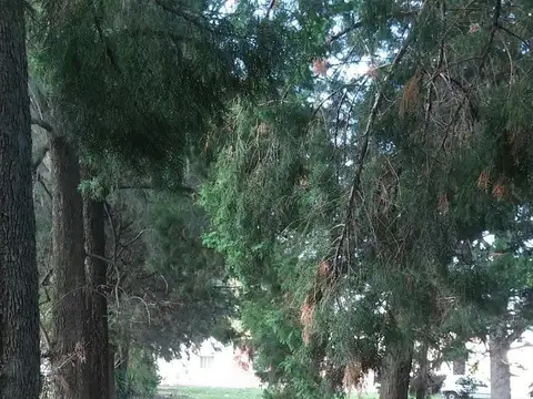 Terreno en Venta en Ezeiza, USD 35.000