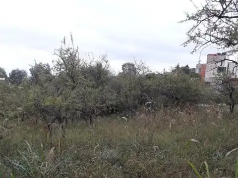 Terreno en Venta de 1000,0 m2