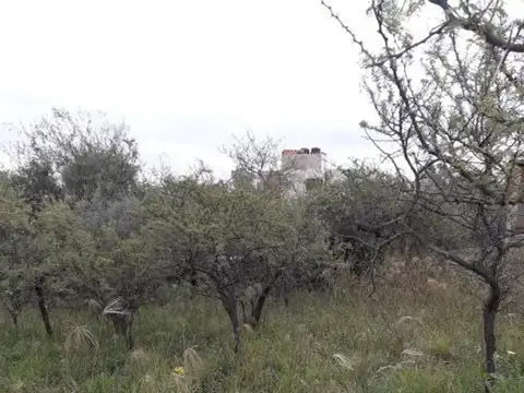 Lote de 1.000 m2 en sierras de Córdoba - La Bolsa