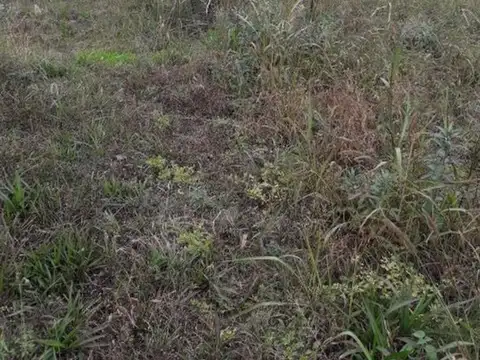 Terreno en Venta 50  mts Fondo