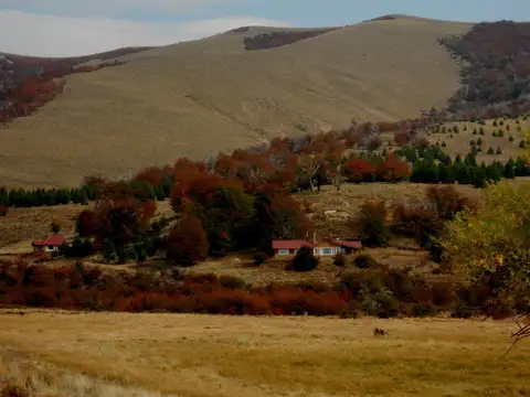 Campo de 5400 ha en Venta - Dina Huapi - Rio Negro