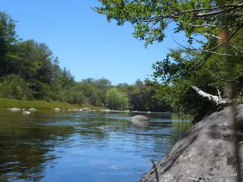 Ea 5400 ha - Pilcaniyeu - Rio Negro