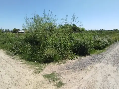 Terreno en Venta de 2500,0 m2