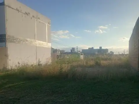 El Manzano 2100