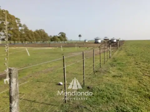 Mechongué, Gral. Alvarado