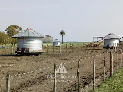 Campo - 235 hectáreas / Mechongué, Gral. Alvarado