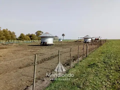 Mechongué, Gral. Alvarado