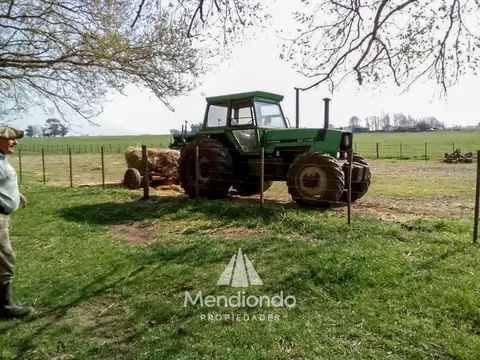 Campo - 235 hectáreas / Mechongué, Gral. Alvarado