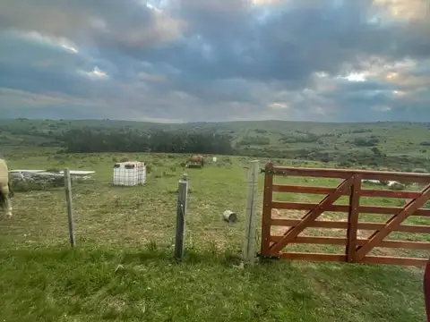 Chacra con vivienda arroyo y cañada en Pan de Azucar 10 ha 100