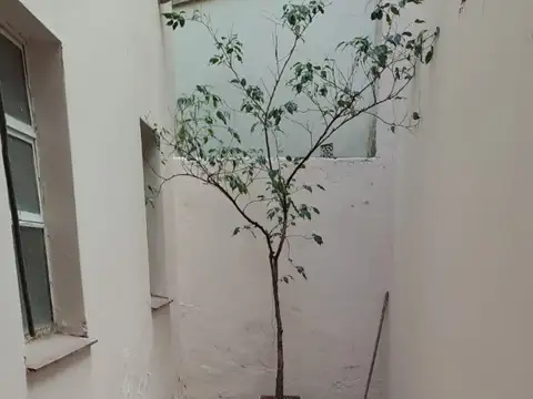 PH Sin Expensas 3amb. Patio PB- 70m2- Rio Janeiro 987- Whatsapp 