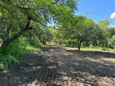 San Javier