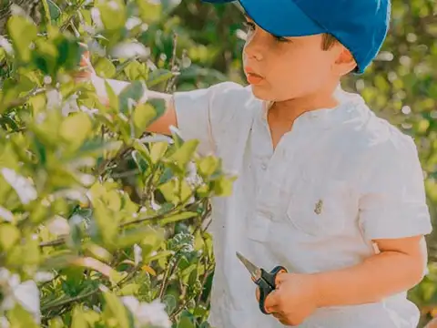 Terreno en Venta en San Antonio De Areco, USD 100.000