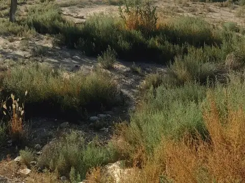 Terreno en Venta en Perdriel, $ 16.000.000